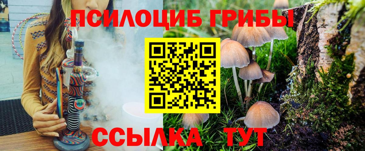 Псилоцибиновые грибы Cubensis  хочу   Нефтекумск  Галлюциногенные грибы MAGIC MUSHROOMS  Вход с VPN 